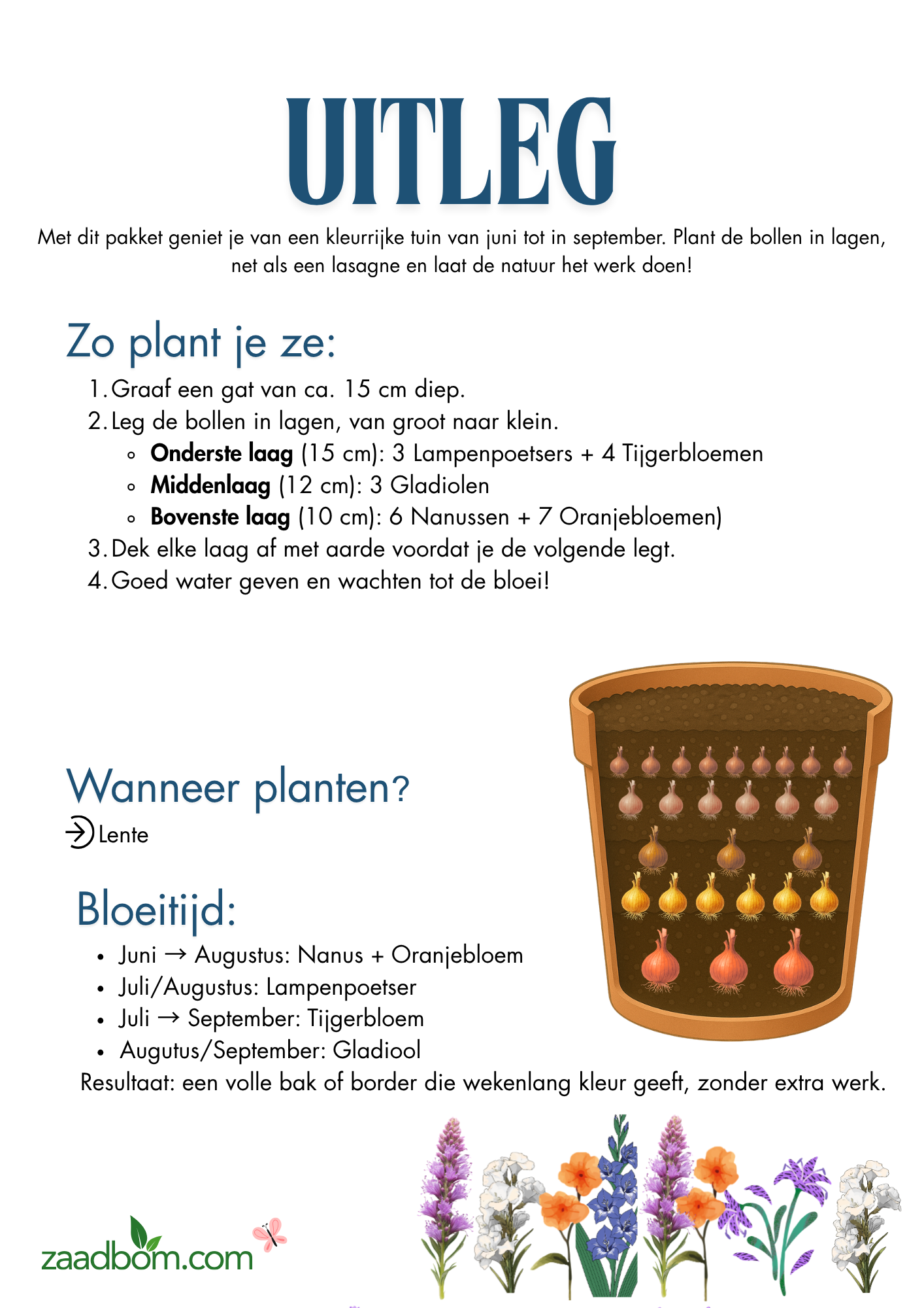 Lasagne Pakket - Bollen Lasagne - Eigen Ontwerp Logo / Tekst
